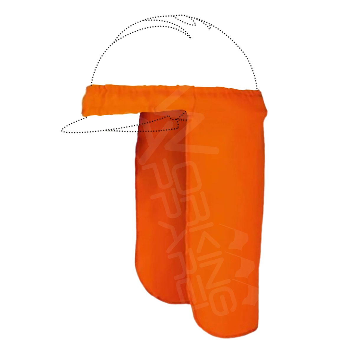 Leagionaron FR